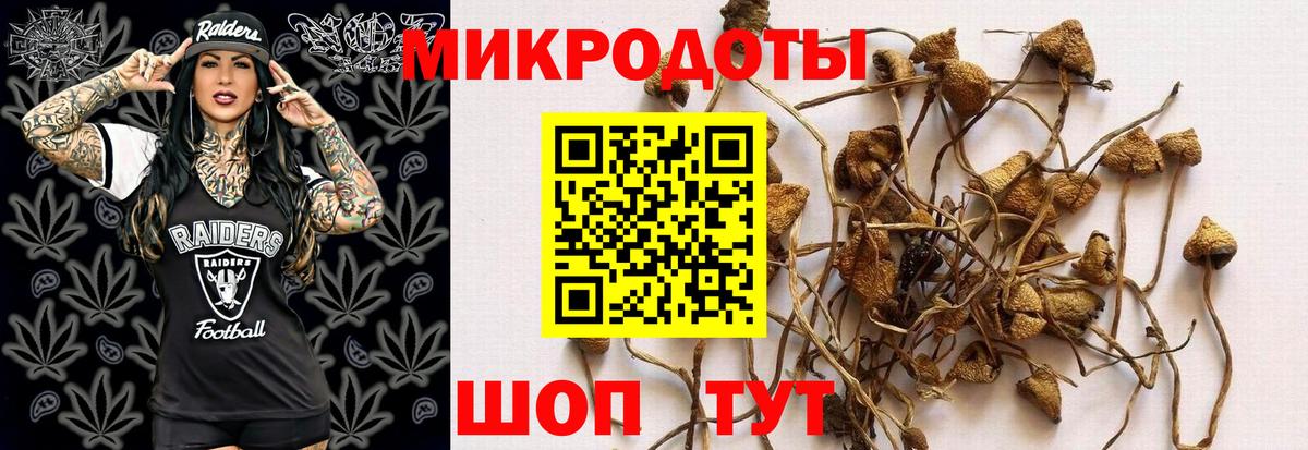 Галлюциногенные грибы мухоморы  Галлюциногенные грибы прущие грибы  Лесосибирск  Вход с VPN 