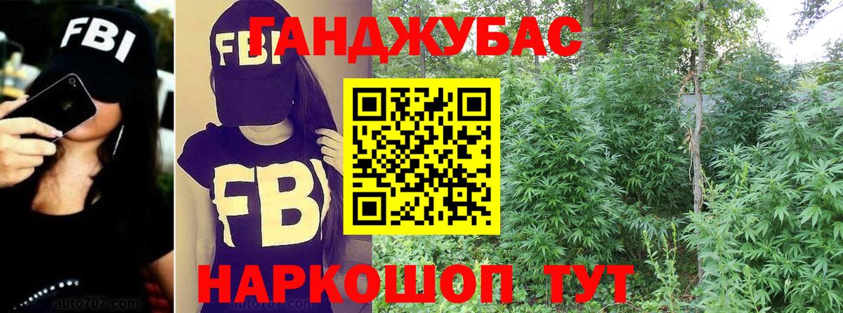 Бошки марихуана сатива Лесосибирск